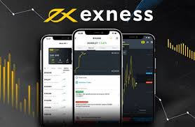 Exness broker for beginners Your Ultimate Guide Exness broker for beginners Your Ultimate Guide