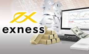 Exness broker for beginners Your Ultimate Guide Exness broker for beginners Your Ultimate Guide