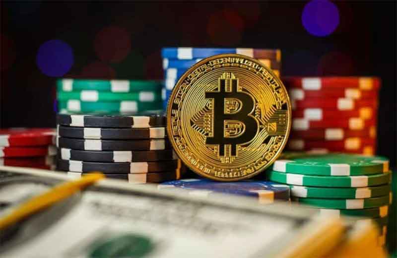 Casinos With Customizable Player Profiles 3 Casinos With Customizable Player Profiles 3