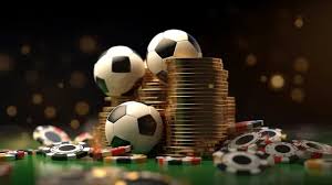 Discover Endless Opportunities with Safi Bet Discover Endless Opportunities with Safi Bet
