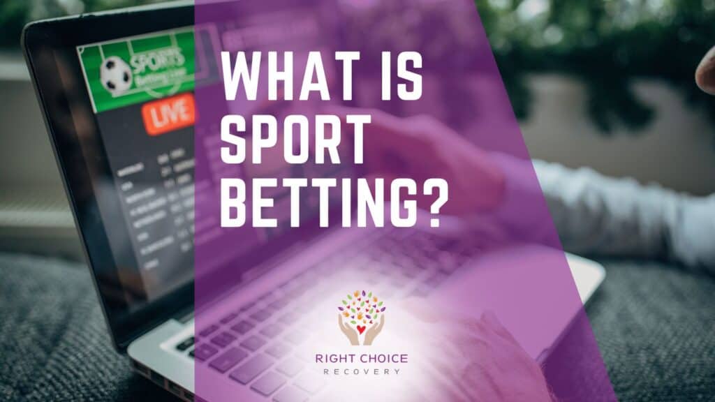 Where to Bet on Table Games 23